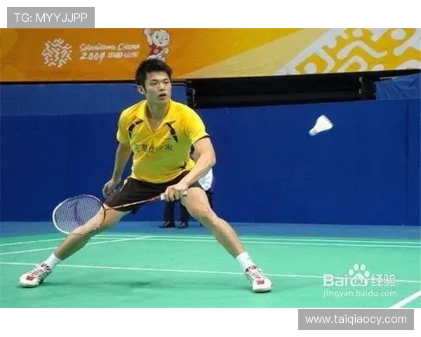 深入分析西安羽毛球队整体压制打法的战术特点与优势解析 深入分析西安羽毛球队整体压制打法的战术特点与优势解析