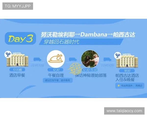 探索奥蓬达的魅力与文化深度，揭示其在当代社会中的重要性与影响力