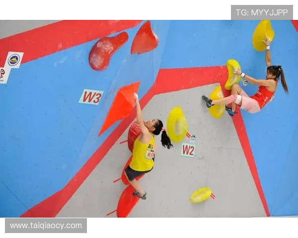 北京攀岩队协作方式深度解析及其对比赛成绩的影响探讨